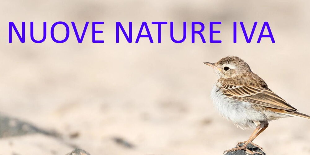 Nuove Nature IVA Per Aliquote Allo 0%